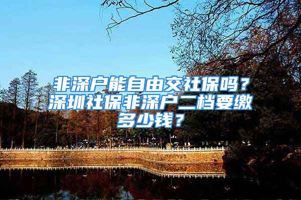 非深戶能自由交社保嗎？深圳社保非深戶二檔要繳多少錢？