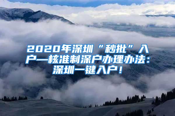 2020年深圳“秒批”入戶—核準制深戶辦理辦法：深圳一鍵入戶！