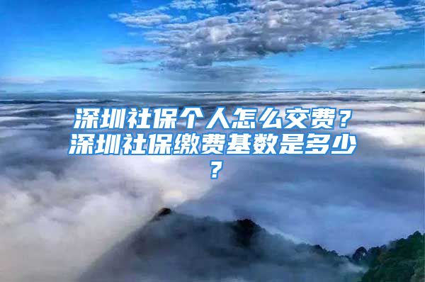 深圳社保個(gè)人怎么交費(fèi)？深圳社保繳費(fèi)基數(shù)是多少？