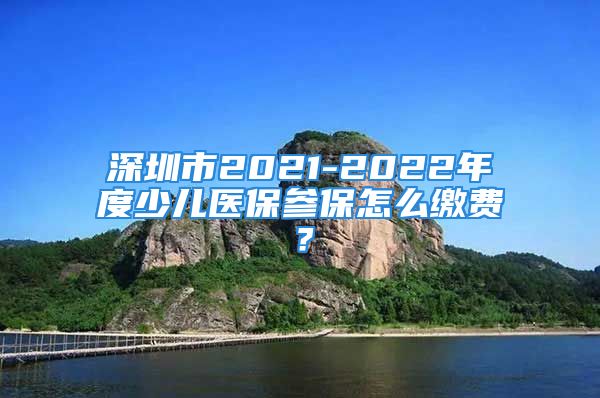 深圳市2021-2022年度少兒醫(yī)保參保怎么繳費？