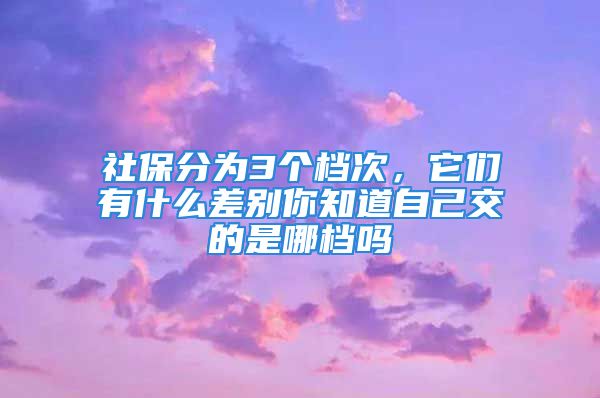 社保分為3個(gè)檔次，它們有什么差別你知道自己交的是哪檔嗎