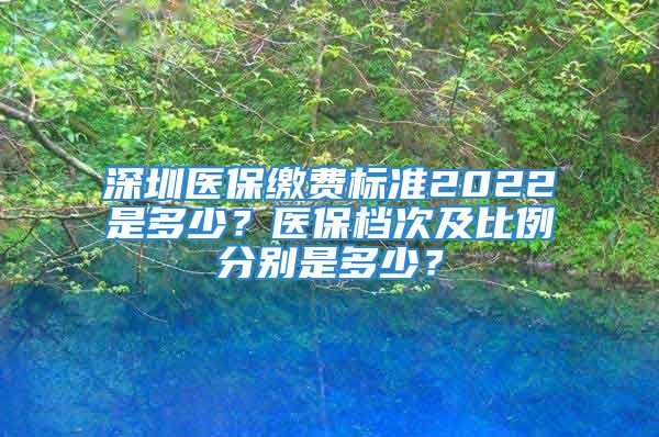 深圳醫(yī)保繳費標準2022是多少？醫(yī)保檔次及比例分別是多少？