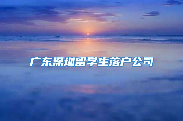 廣東深圳留學(xué)生落戶公司