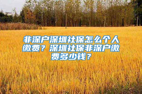 非深戶深圳社保怎么個人繳費？深圳社保非深戶繳費多少錢？