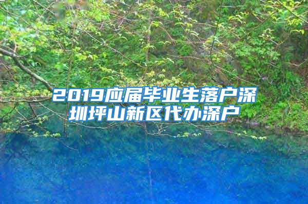 2019應屆畢業(yè)生落戶深圳坪山新區(qū)代辦深戶