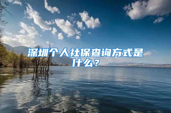 深圳個(gè)人社保查詢方式是什么？