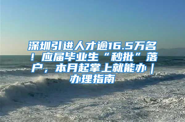 深圳引進(jìn)人才逾16.5萬(wàn)名！應(yīng)屆畢業(yè)生“秒批”落戶，本月起掌上就能辦｜辦理指南