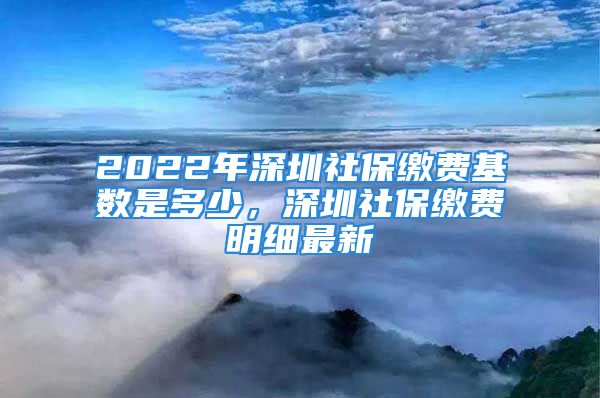 2022年深圳社保繳費(fèi)基數(shù)是多少，深圳社保繳費(fèi)明細(xì)最新