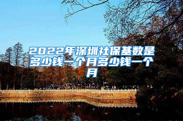 2022年深圳社保基數(shù)是多少錢一個(gè)月多少錢一個(gè)月