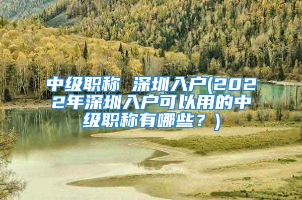 中級(jí)職稱(chēng) 深圳入戶(hù)(2022年深圳入戶(hù)可以用的中級(jí)職稱(chēng)有哪些？)