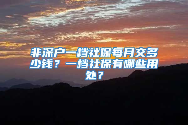 非深戶一檔社保每月交多少錢(qián)？一檔社保有哪些用處？