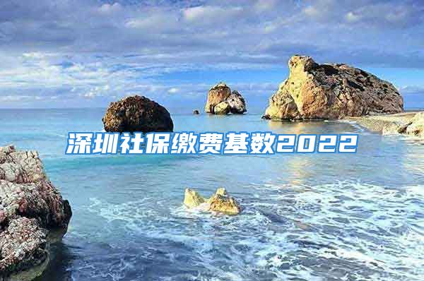 深圳社保繳費(fèi)基數(shù)2022