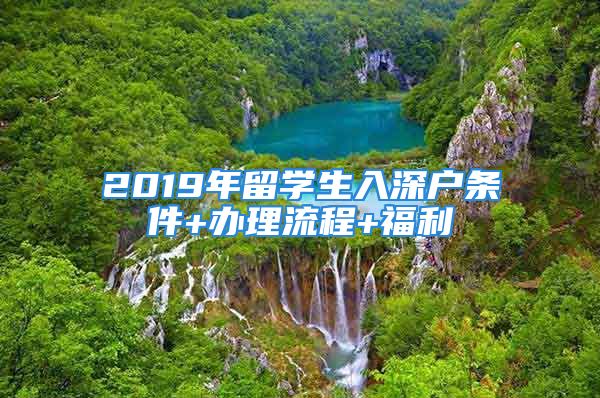 2019年留學(xué)生入深戶條件+辦理流程+福利