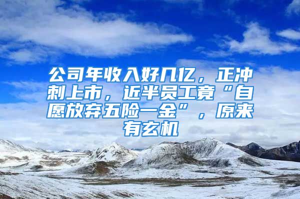 公司年收入好幾億，正沖刺上市，近半員工竟“自愿放棄五險一金”，原來有玄機(jī)