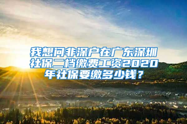 我想問非深戶在廣東深圳社保二檔繳費工資2020年社保要繳多少錢？