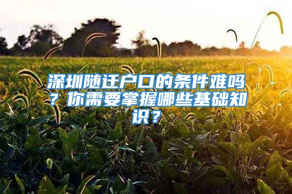 深圳隨遷戶口的條件難嗎？你需要掌握哪些基礎(chǔ)知識(shí)？