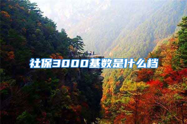 社保3000基數(shù)是什么檔