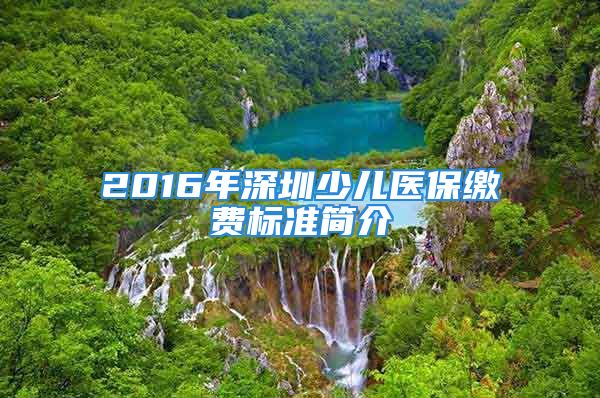 2016年深圳少兒醫(yī)保繳費(fèi)標(biāo)準(zhǔn)簡(jiǎn)介