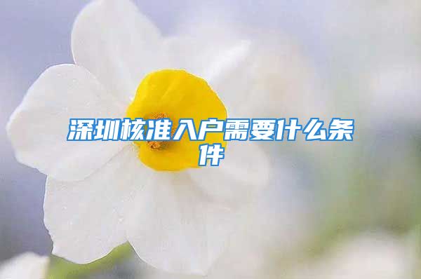 深圳核準(zhǔn)入戶需要什么條件