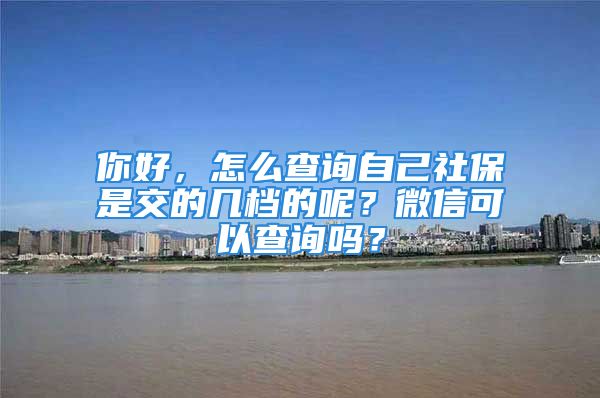 你好，怎么查詢自己社保是交的幾檔的呢？微信可以查詢嗎？