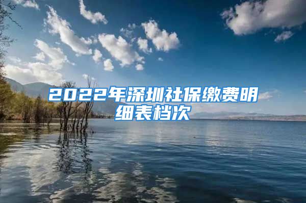 2022年深圳社保繳費(fèi)明細(xì)表檔次