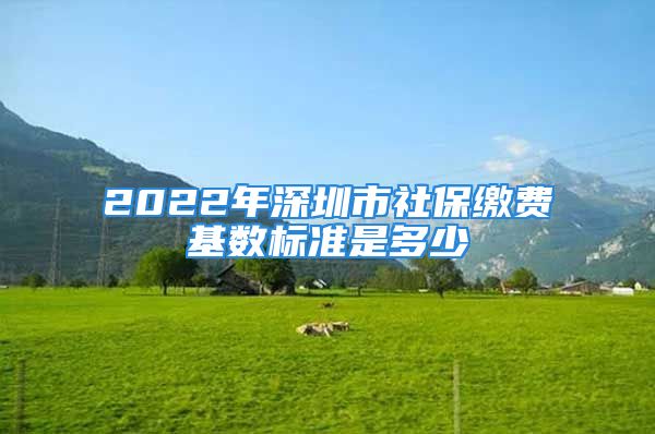 2022年深圳市社保繳費(fèi)基數(shù)標(biāo)準(zhǔn)是多少