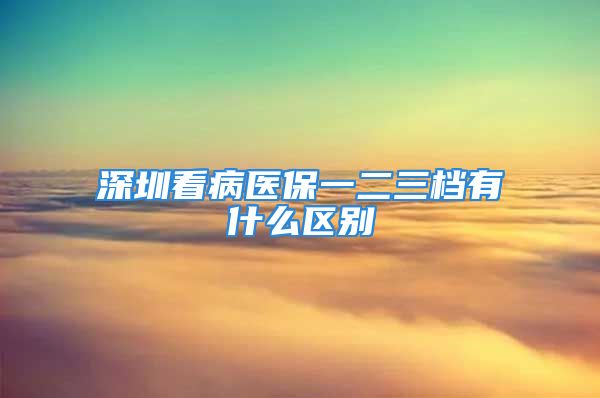 深圳看病醫(yī)保一二三檔有什么區(qū)別