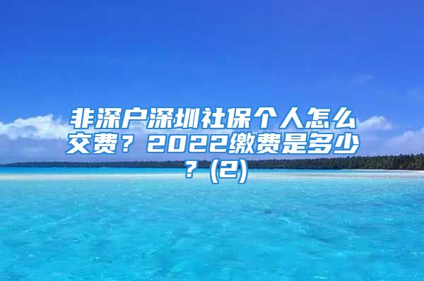 非深戶深圳社保個(gè)人怎么交費(fèi)？2022繳費(fèi)是多少？(2)