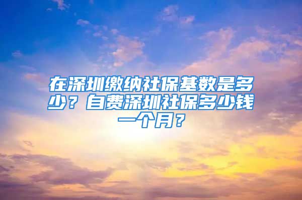 在深圳繳納社保基數(shù)是多少？自費深圳社保多少錢一個月？