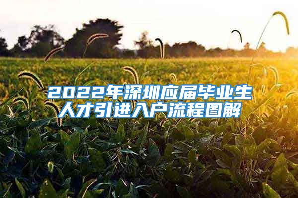 2022年深圳應(yīng)屆畢業(yè)生人才引進(jìn)入戶(hù)流程圖解