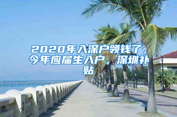 2020年入深戶領(lǐng)錢了，今年應(yīng)屆生入戶，深圳補(bǔ)貼