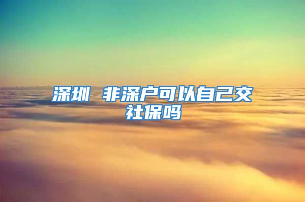 深圳 非深戶可以自己交社保嗎