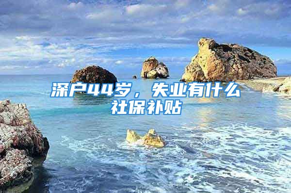 深戶44歲，失業(yè)有什么社保補(bǔ)貼