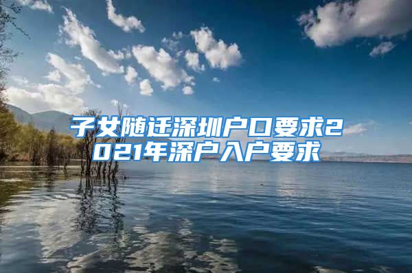 子女隨遷深圳戶口要求2021年深戶入戶要求