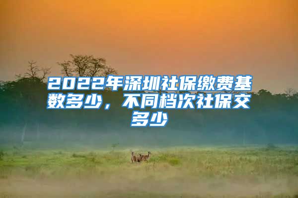 2022年深圳社保繳費(fèi)基數(shù)多少，不同檔次社保交多少