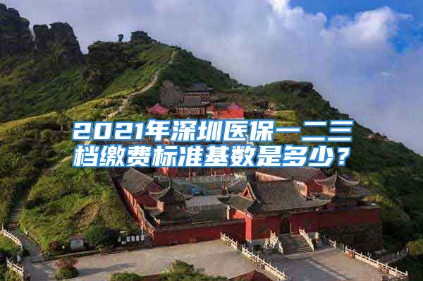 2021年深圳醫(yī)保一二三檔繳費標(biāo)準(zhǔn)基數(shù)是多少？