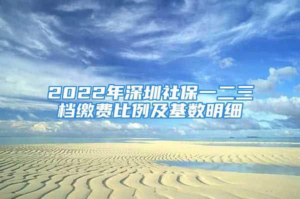 2022年深圳社保一二三檔繳費比例及基數(shù)明細(xì)