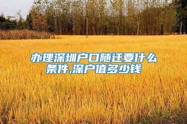 辦理深圳戶口隨遷要什么條件,深戶值多少錢