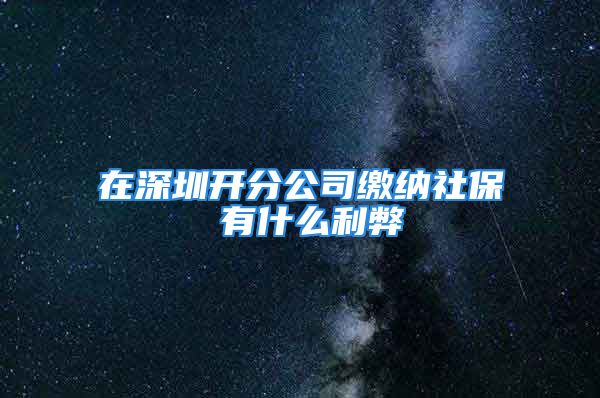 在深圳開分公司繳納社保 有什么利弊