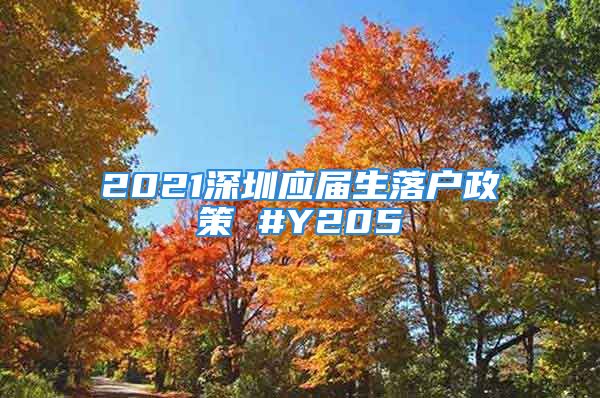 2021深圳應(yīng)屆生落戶政策 #Y205