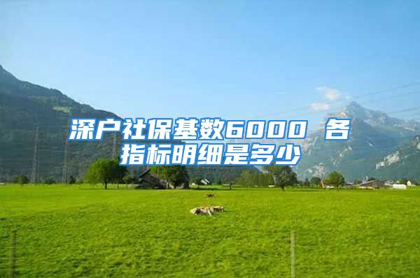 深戶社?；鶖?shù)6000 各指標(biāo)明細(xì)是多少