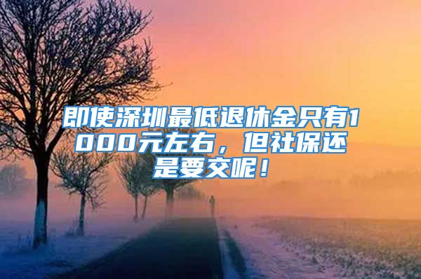 即使深圳最低退休金只有1000元左右，但社保還是要交呢！