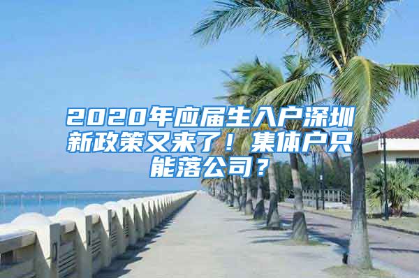 2020年應(yīng)屆生入戶深圳新政策又來了！集體戶只能落公司？