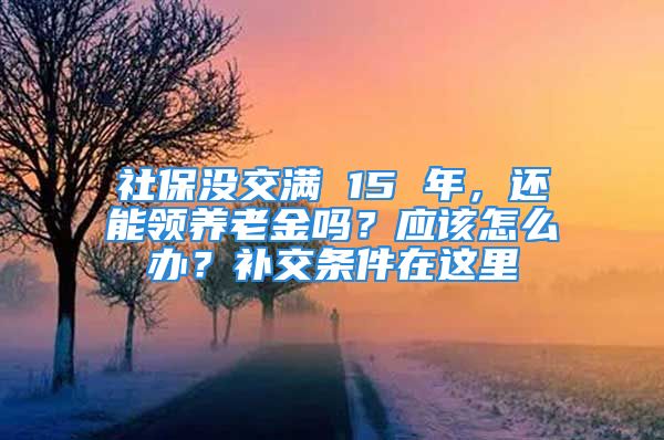 社保沒交滿 15 年，還能領(lǐng)養(yǎng)老金嗎？應(yīng)該怎么辦？補(bǔ)交條件在這里