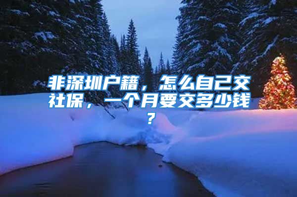 非深圳戶籍，怎么自己交社保，一個月要交多少錢？