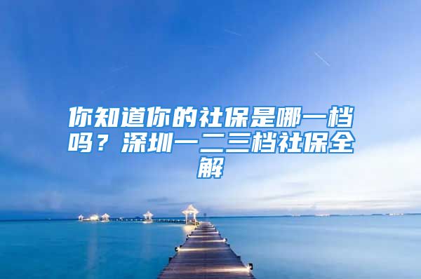 你知道你的社保是哪一檔嗎？深圳一二三檔社保全解