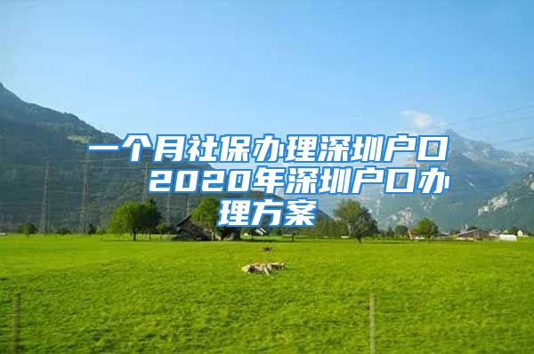 一個(gè)月社保辦理深圳戶口   2020年深圳戶口辦理方案