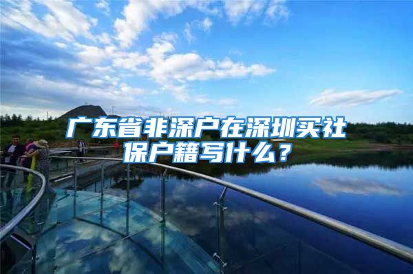 廣東省非深戶在深圳買社保戶籍寫什么？