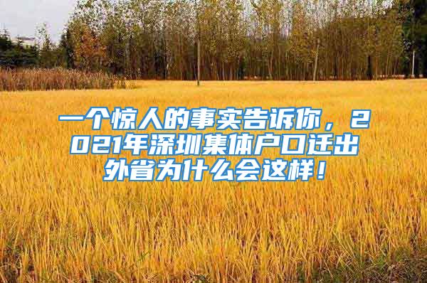 一個(gè)驚人的事實(shí)告訴你，2021年深圳集體戶口遷出外省為什么會(huì)這樣！