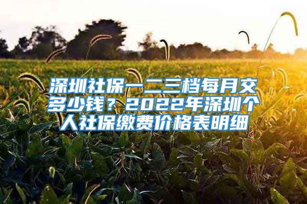 深圳社保一二三檔每月交多少錢？2022年深圳個(gè)人社保繳費(fèi)價(jià)格表明細(xì)